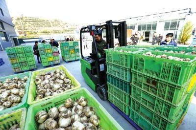 开启供应链新模式，兰州特色农产品走出新路子助力鲜活水产品发展