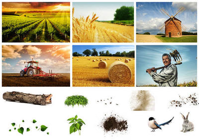 鲜活水产品 从海洋到餐桌，品味自然鲜甜