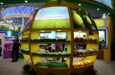 吴川祝: 乐东将打造热带特色高效农业“王牌”——鲜活水产品