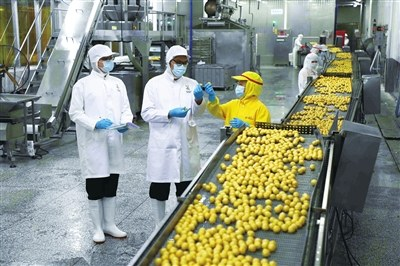 中国预制菜产业全面起航 赋能农业升级，打造舌尖上的新经济