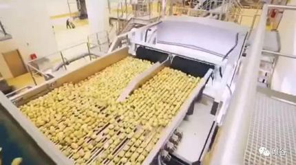 佳盛企智“共享工厂” 创新农产品深加工，引领产业新变革