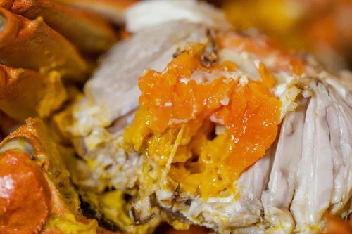 购买崇明优品，认准山水标志——崇明世界级生态岛递出农产品名片