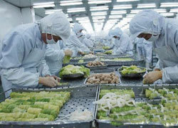 日食品、农产品出口稳中有升 亚洲市场成增长新引擎